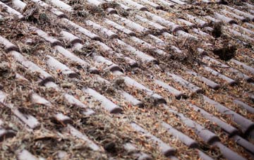 Armitage roof cleaning companies