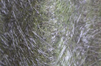 Armitage fibreglass roof work